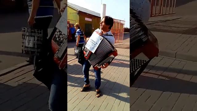 Талантливый парень поет и играет на баяне смотреть онлайн
