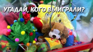 ВЫИГРАЛА ПРИКОЛЬНУЮ ИГРУШКУ в Аппарате Хватайка! Играем  в Автоматы!