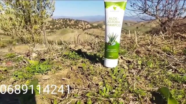شابو ألوي جوجوبا shampoo aloe jojoba смотреть онлайн