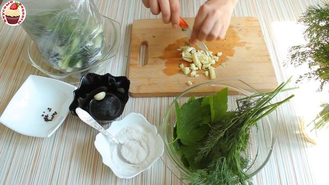 Комедийные Шоу и Скетчи