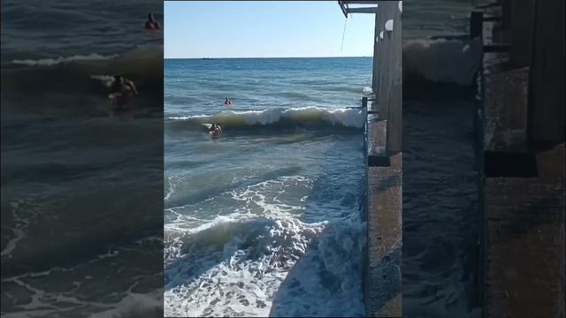 хочу хочу хочу