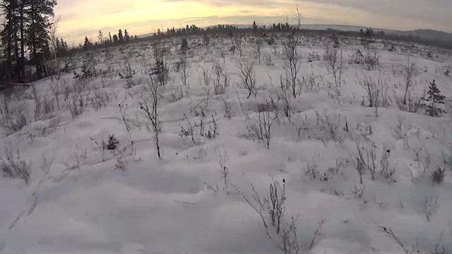 Новый год на болоте смотреть онлайн