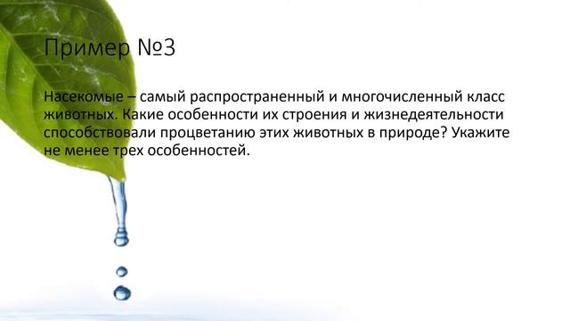 ЕГЭ Биология Задание №25 Часть 2 смотреть онлайн