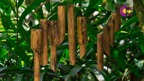 Bamboo Wind chimes | Natural Sound| Relaxing