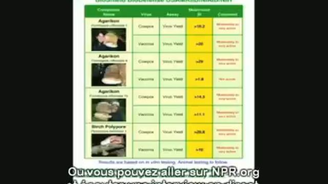 Paul Stamets : des champignons pour sauver le monde смотреть онлайн