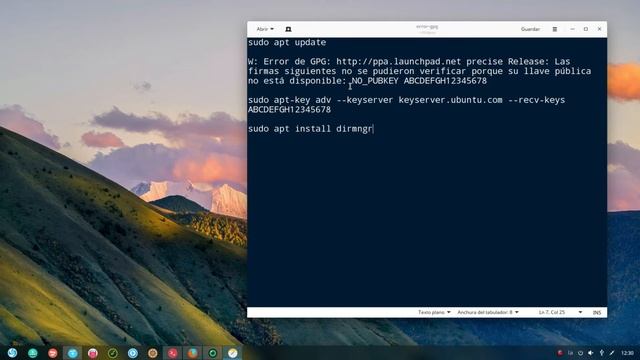 Solucionar Error de GPG en Ubuntu, Debian y/o Derivados смотреть онлайн