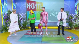 Жить здорово! Выпуск от 10.08.2022
