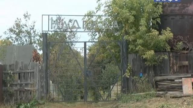 НА ГРАНИ - Проблемы жильцов по ул. Гоголя (Будет ли электричество у садоводов) смотреть онлайн