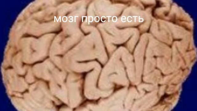 девки танцуют перед камерой смотреть онлайн