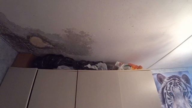 Прасковья смотреть онлайн