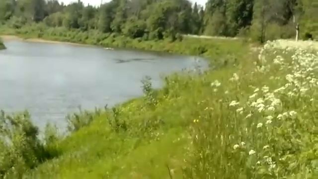 река Чепца -приток Вятки смотреть онлайн
