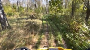 POV мотопрогулка на квадроцикле 200 кубов