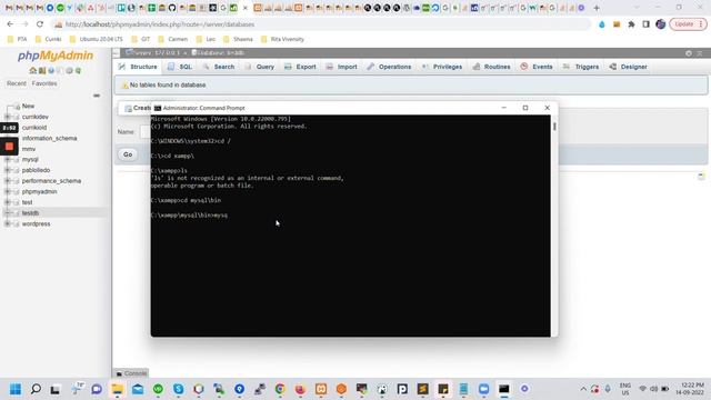 Import MySQL database in local XAMPP server using command line смотреть онлайн