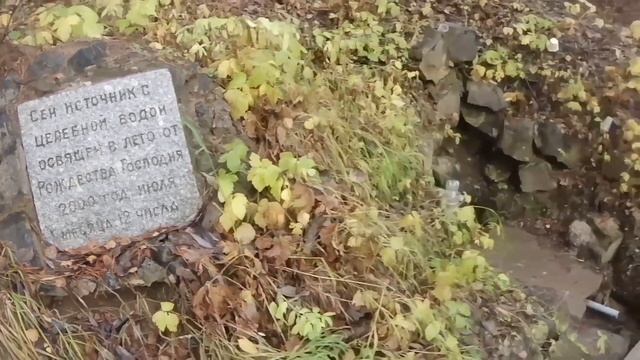 Пол часа чтобы влюбиться в реку. Санаторий на берегу Днепра.