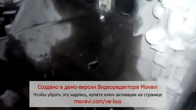 Форд Фокус 2 показал кулак смотреть онлайн