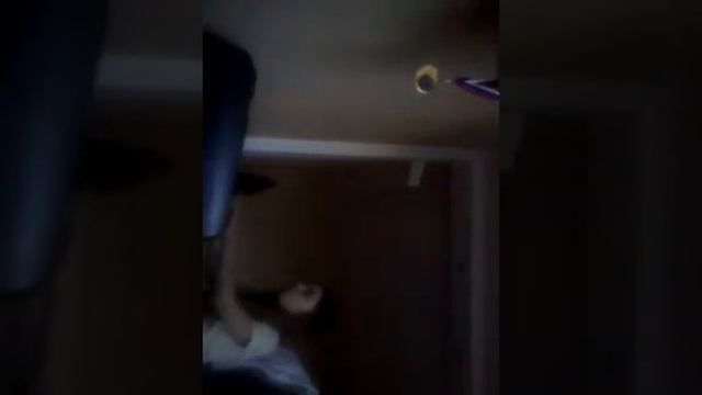 Я на клавишных исполняю пьесу сурок смотреть онлайн