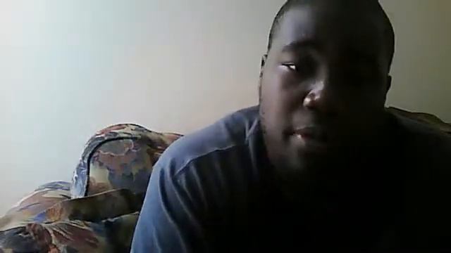 mrs. dolphin смотреть онлайн