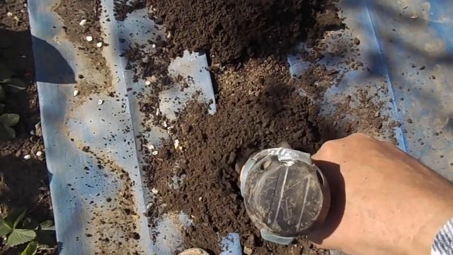 Самодельная сажалка рассады. смотреть онлайн