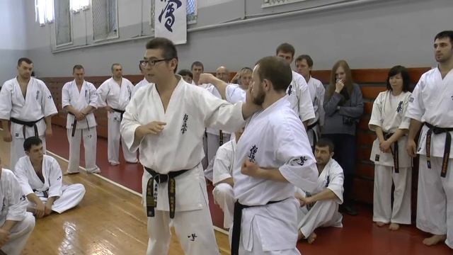 Сборы под руководством Taichiro Sugimura. Пермь, 13-14 февраля 2015 года. Ролик 2. смотреть онлайн