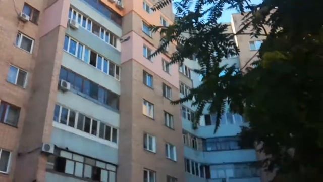 Мусорные места во дворе Китайской стены по Коцюбинского 27 смотреть онлайн