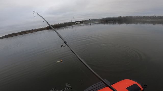 Наверное......да)))