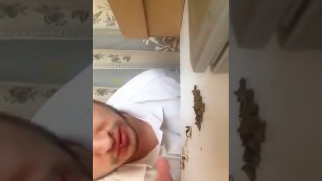 Паша техник показал кое-что смотреть онлайн