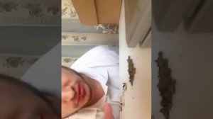 Паша техник показал кое-что