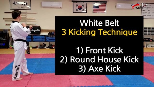 WBBC White Belt Breaking and 3 Kicking Technique смотреть онлайн