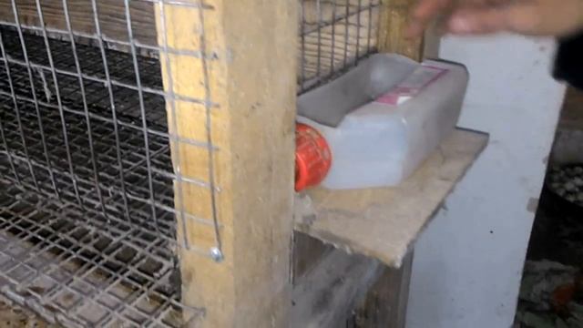 Клетка для перепелов своими руками. Моя первая клетка! смотреть онлайн