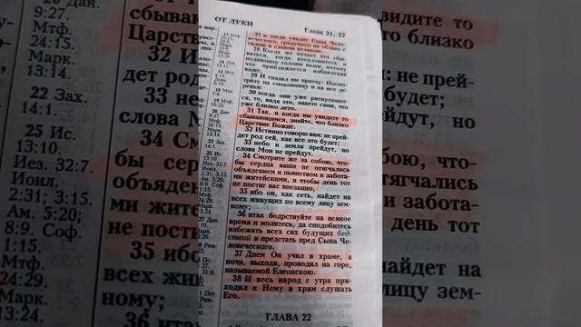 Смотрите же за собою, чтобы сердца ваши не отягчались объядением и пьянством и заботами житейскими, смотреть онлайн
