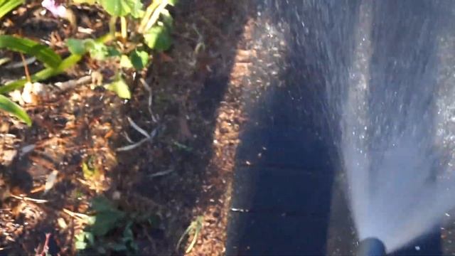 watering fun смотреть онлайн