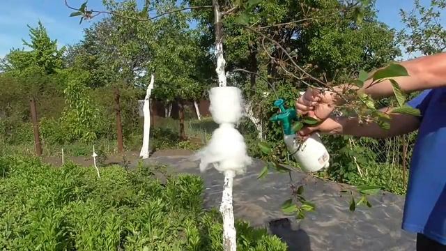 Эксперимент. Защитный пояс из синтепона. Ч.1. Установка и первое наблюдение