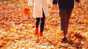 Красивая песня в исполнении Сергея Шевченко Две капельки .mp4