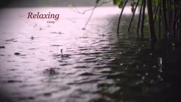 Relaxing Music, Deep Sleep Instantly in 15 Minutes with Rain Sounds.