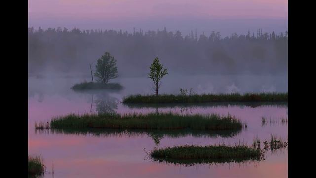 Болото смотреть онлайн