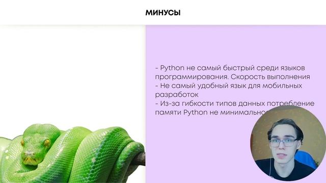 Python | ИНФОРМАТИКА ЕГЭ смотреть онлайн