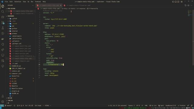 How To Serve Static Files | Serving Static Files with RoadRunner смотреть онлайн