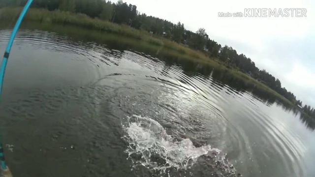 Voyage за щукой в вейдерсах смотреть онлайн