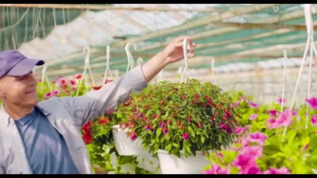 ШИКАРНЫЕ ЦВЕТЫ ? / ВСЕ ЦВЕТЫ ? / FAVOURITE FLOWERS     ? / BEST FLOWERS /