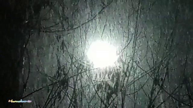 Достоинство произведения искусства мы оцениваем по количеству труда, какой вложил в него художник. смотреть онлайн