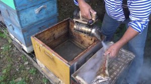 Забытые ловушки