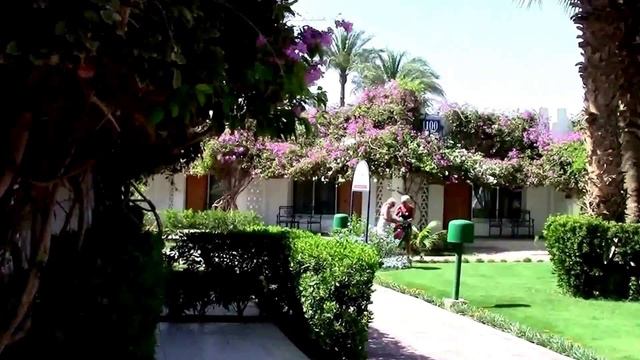 Египет. Хургада. Сафага. отель Shams Safaga 4*.