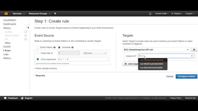 AWS EBS Tutorial : Create EBS Automated Backup смотреть онлайн
