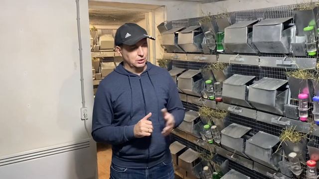 ЧЕМ БОЛЕЮТ ШИНШИЛЛЫ? часть 2 | ШИНШИЛЛОВАЯ ФЕРМА | ФЕРМА ШИНШИЛЛ смотреть онлайн