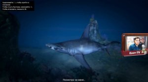 GTA 5 PS4 ЛОФОФОРЫ - АКУЛА-КАКУЛА (+Карта)(23/27)