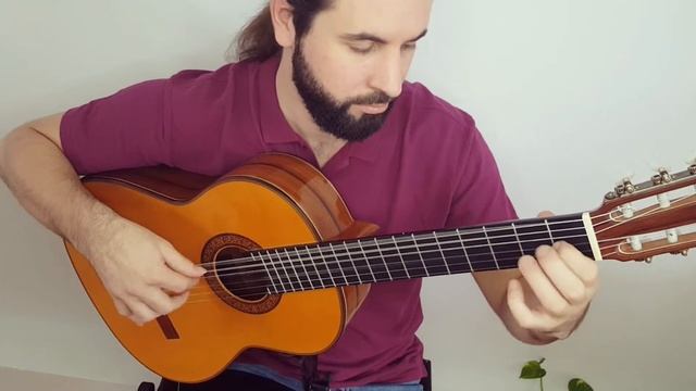 Flamenco - Rumba - guitar solo cover смотреть онлайн
