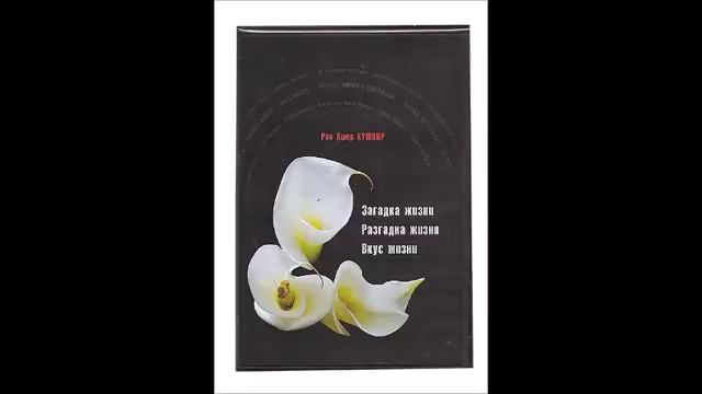 Главная загадка в жизни 3. Раввин Ашер Кушнир смотреть онлайн