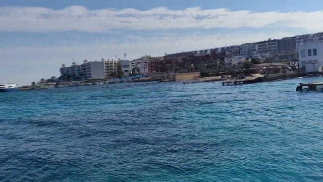 В Египетской провинции Красное море запретили рыбалку и сброс остатков еды в воду... смотреть онлайн