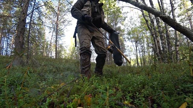 РЫБАЛКА в СЕНТЯБРЕ на КОЛЬСКОМ Полуострове | СКОЛЬКО же здесь ГРИБОВ !? Рыболовное Приключение смотреть онлайн