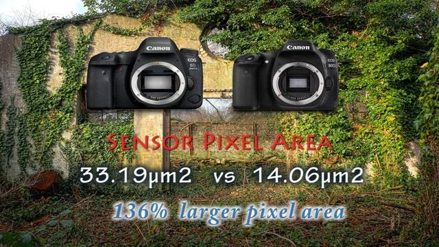 Canon 6D Mark II vs Cannon 80D in hindi What Should I Buy to Start a Photography Business смотреть онлайн
